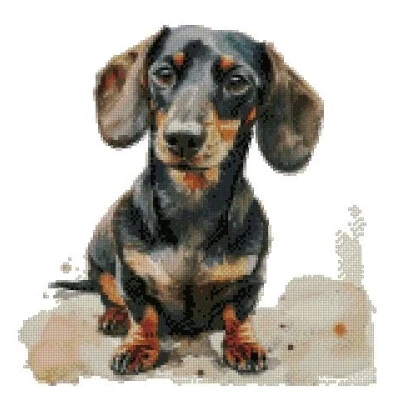 Image of Dachshound (3) Counted Cross Stitch kit, 14count, Cotton, 150x150stitch,26x26cm, Dog kit