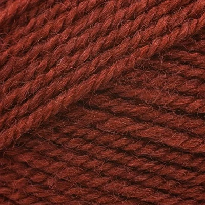 Image of Stylecraft Life DK 100g (2415 Cognac)