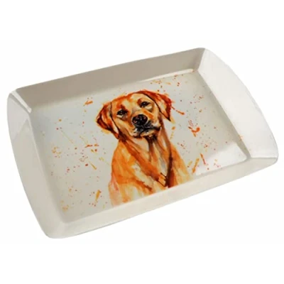 Image of The Leonardo Collection LP48718 Small Tray Golden Labrador design 1 Pc