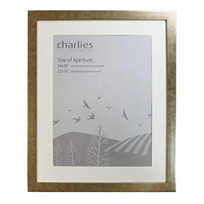Image of Charlies Gold Picture Frame 16 x 20