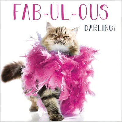 Image of Birthday/Blank Greeting Card for Her Female Funny Cat, Fabulous Darling! Humorous Design General Suitable Any Occasion Made in the UK Eco Friendly