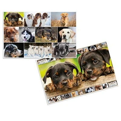 Image of HERMA 19378 Desk Mats Animals Dogs, Pack of 3, Wipe Clean Children&#039;s Writing Made Cardboard, 55 x 35 cm, Double Sided Motif Table Mat Set for Girls and Boys