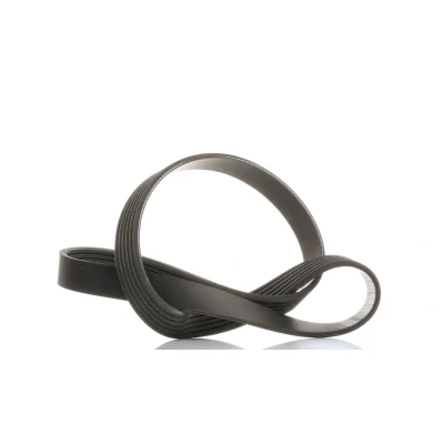 Image of 31330244 V ribbed belt SKF VKMV 6PK966 966mm 6 FORD: FOCUS 3, S Max Mk1, MONDEO 4, VOLVO: V40 Hatchback, V70 S40 II, CITROËN: C1 I
