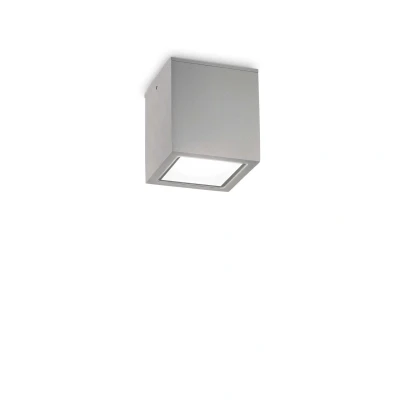 Image of Techo Small Surface Mounted Downlight Grey IP54