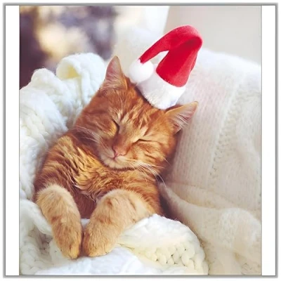 Image of Charity Christmas Cards Pack of 5 Age UK, Marie Curie, BHF, Mind Artistic Festive Design Cat in Santa Hat Made the UK Eco Friendly