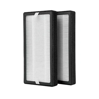 Image of HoMedics Filter, HEPA compliant material, White, 2 Count (Pack of 2)