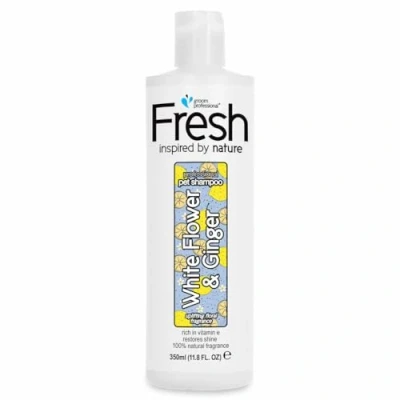 Image of Groom Professional FRESH White Flower &amp; Ginger Dog Shampoo Natural For Sensitive Skin Restores Dry and Damaged Coats Dulls Citrus Scent, 350ml