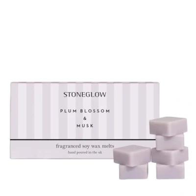 Image of Stoneglow Modern Classics Collection Plum Blossom &amp; Musk 192 grams Scented Wax Melts (Lilac)