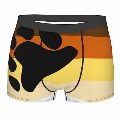 Image of Bear Flag Men&#039;s Underwear Breathable Boxer Briefs Stretch Trunks