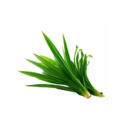 Image of Fresh Rambha Leaves Bunch Pandan 20 grams(Greenleon)