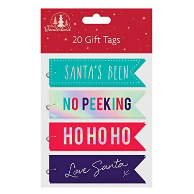 Image of Tallon Festive Wonderland Flag Shaped Christmas Tags, Bright Text Pack of 20