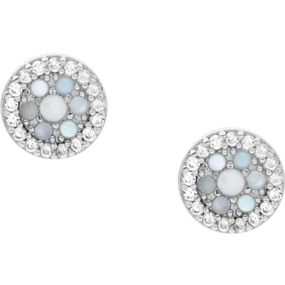 Image of Fossil Earrings for Women Sterling Silver, Length: 7.2 x 1.3mm Silver Earrings, JFS00518040