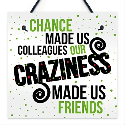 Image of RED OCEAN Chance Made Us Colleagues Hanging Wall Plaque Sign Friendship FRIEND Thank You Office Gift