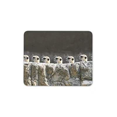 Image of Destination Vinyl ltd Funny Meerkats Mouse Mat Pad Cute Animal Meercat Cat PC Computer #8583