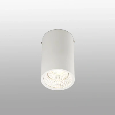 Image of Rel LED 1 Light Round Surface Mounted Downlight White