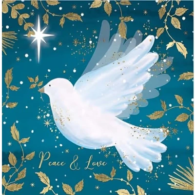 Image of Noel Tatt Charity Christmas Cards Pack of 10 with Artistic Dove Design Eco Friendly Xmas Multipack Envelopes