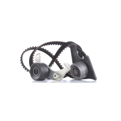 Image of 0000082933, 081622, 081646, 081658, 082933 Timing belt kit INA 530 0096 10 136 with attachment material PEUGEOT: 306 Hatchback, 205 II Hatchback