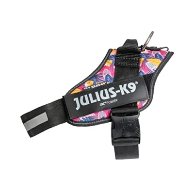 Image of IDC Powerharness, Size: L/1, Leaf 2 Limited Edition