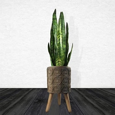 Image of Leaf Extra Large Cachepot Planters, 40cm Zandi Flowers