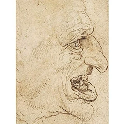 Image of Artery8 Da Vinci Head Grotesque Man Profile Right Drawing Art Print Canvas Premium Wall Decor Poster Mural