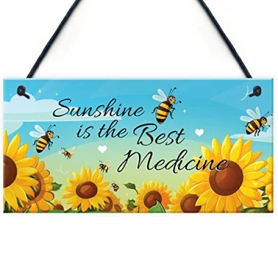 Image of Red Ocean Shabby Chic Sunshine Is The Best Medicine Sign Hot Tub Plaque Garden Shed Summer House Home Decor