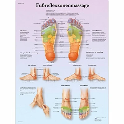 Image of 3B Scientific Laminated Teaching Board Foot Reflexology Massage 50 x 67 cm
