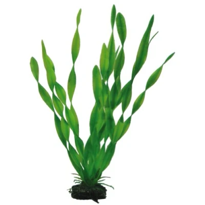Image of Hobby Vallisneria 34 cm