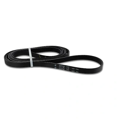 Image of DL pro V Ribbed Belt for AEG Electrolux 14005625401/8 140056254018 1971PH7 Drive Timing Tumble Dryers