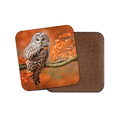 Image of 1 x Wise Brown Owl Coaster Bird Autumn Tree Forest Wildlife Nature Fun #14627