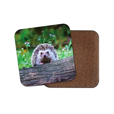 Image of 1 x Cheeky Hedgehog Coaster British Wildlife Garden Cute Funny Nature #14322