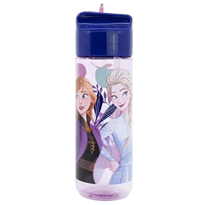 Image of Stor ECOZEN HIDRO WATER BOTTLE FOR CHILDREN 540ML FROZEN TRUST THE JOURNEY