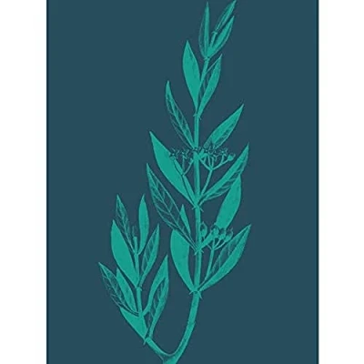 Image of Wee Blue Coo Navy And Teal Star Flowers Unframed Art Print Poster Wall Decor 12X16 Inch