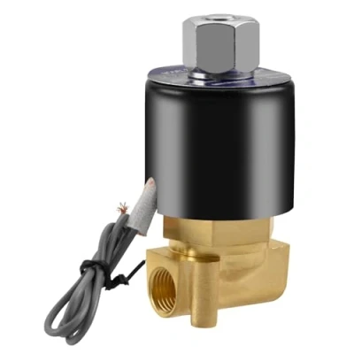 Image of Heschen Brass Electric Solenoid Valve, 2W 025 08K, PT1/4&#039;&#039; Port, DC12V, Direct Action Water Air, Normally Open