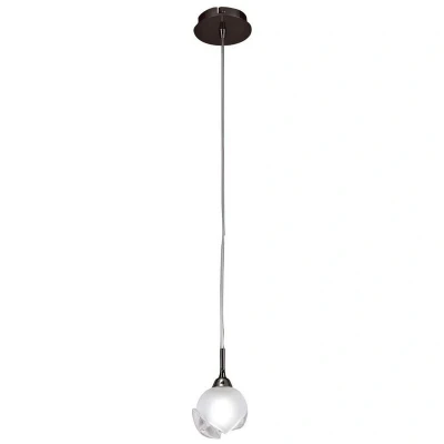 Image of Fragma Ceiling Pendant 1 Light G9, Black Chrome