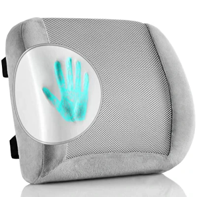 Image of EDIMENS Lumbar Support Cushion, Memory Foam Ergonomic Back Cushion for Pain Relief, Pillows with Dual Adjustable Straps and Breathable Mesh Cover Office Chair, Car Seat