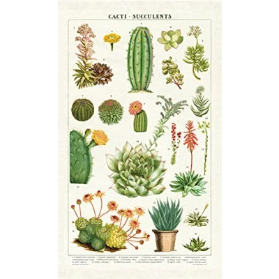 Image of Cavallini Vintage Succulents Cotton Tea Towel, Cc002, S