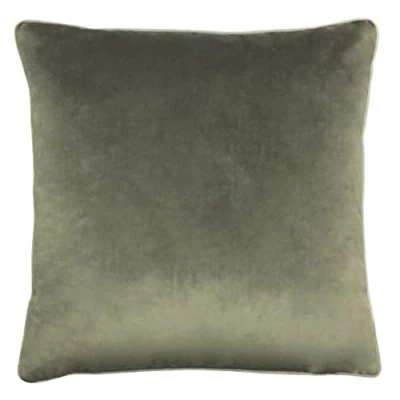 Image of Paoletti Meridian Piped Velvet Feather Filled Cushion Grey One Size