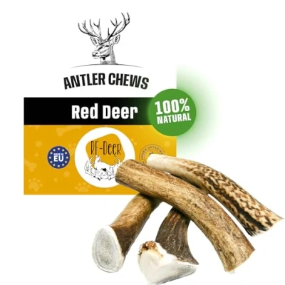 Image of RF Deer Antlers for dogs HARD Size XXL 5 PIECES Natural Antler, Long Lasting Chew Treat, Naturally Shed, Enjoyment and Dental Care Health your dog, Chews Toys, Sustainable