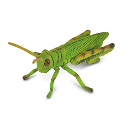 Image of CollectA Grasshopper