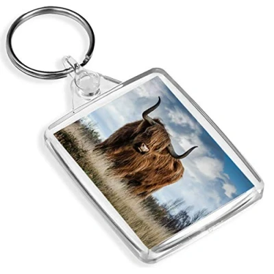 Image of Fluffy Highland Cow Keyring Cattle Scotland Scottish Hairy #13165