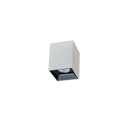 Image of Obzor Surface Mounted Ceiling Light 10W 3000K Lamp Color White