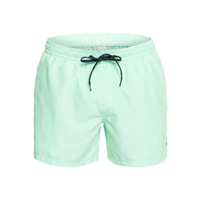 Image of Quiksilver Boys Everyday Volley 15 Boardshort, Beach Glass, L EU