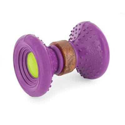 Image of PetSafe Busy Buddy Ultra Woofer S Durable Dog Chew Toy, Toy with Treat, Small Dogs