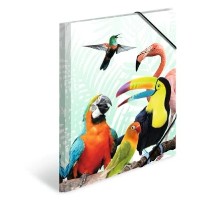 Image of HERMA Portfolio Folder A4 Parrot, Children&#039;s Corner Made of Plastic with Animal Motif, Elastic Band, Inner Flaps and Print for Boys Girls