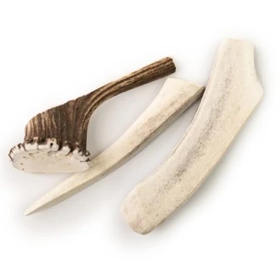 Image of Natural Dragonfly Products 100% Deer Split Antler for Dogs Premium Long Lasting, low fat, healthy Dog Chew dental health (Medium)
