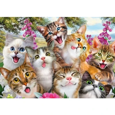 Image of Schmidt 58391 Jigsaw Puzzle Cat Selfie (500 pcs), Bundle