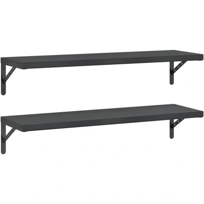 Image of vidaXL Wall Shelves 2 pcs 100x30 cm Black Stainless Steel