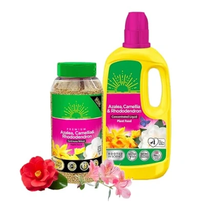 Image of Miracle Grow Ericaceous Feed Fertiliser Bundle of 900g Continuous Release Plant Granules &amp; 800ml Concentrated Liquid Food. Garden Plants Fertilizer for Azalea, Camellia with Card