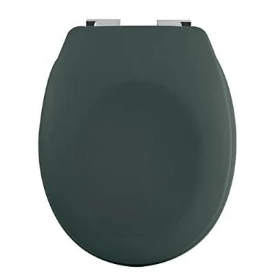 Image of Spirella Neela Thermo Hard Toilet Seat Matt Dark Green ABS Chrome Hinges