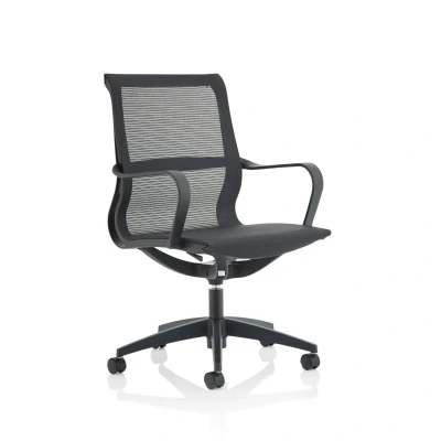Image of Lula Black Mesh Executive Chair With Fixed Arms